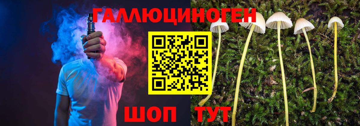 цена   Вход с VPN  Дальнереченск  Псилоцибиновые грибы мицелий 